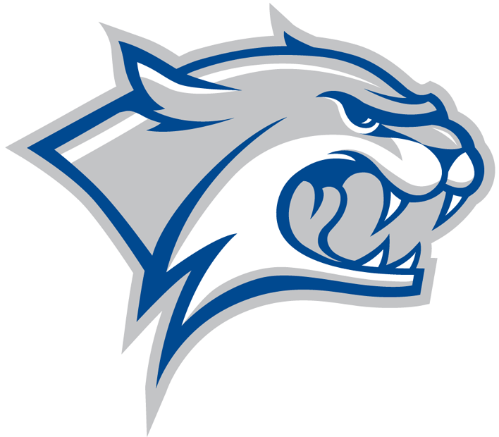 New Hampshire Wildcats 2000-Pres Partial Logo diy DTF decal sticker